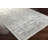 Mann Viscose Oriental Indoor Rug-454727907
