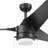 Teo 56" Indoor Outdoor Ceiling Fan with Pull Chain and Light Kit Included