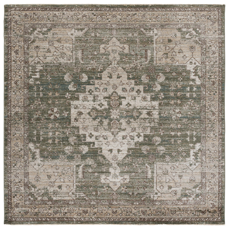 Hazel 518 Performance Oriental Rug, Square 6'
