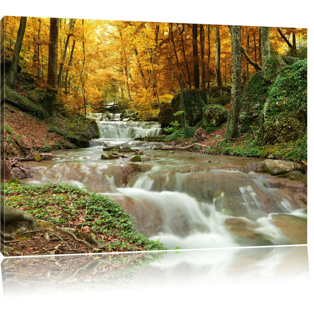 Leinwandbild "Forest Stream in Autumn"