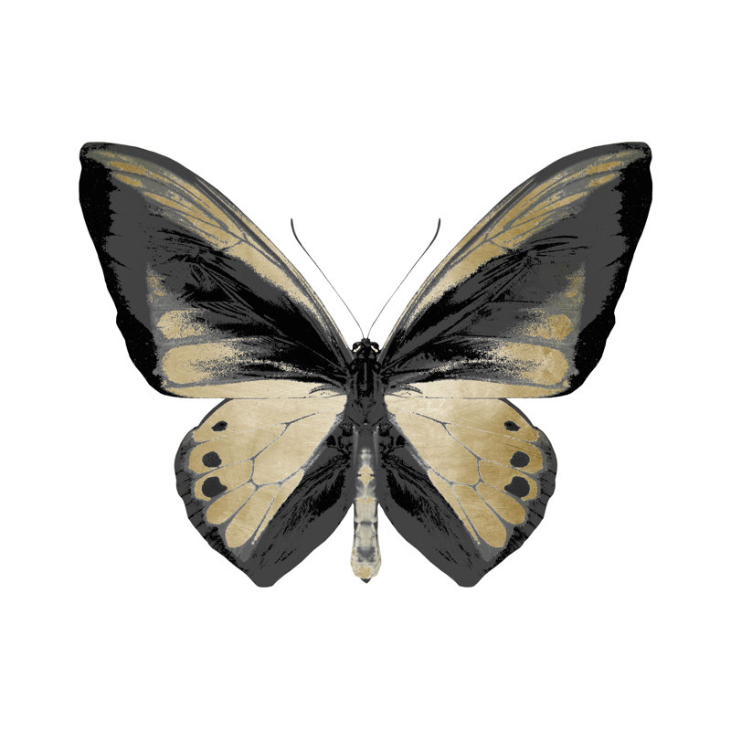 Radioactive Butterfly I Print by Mari Urasawa, 20" H x 20" W x 1.5" D, Glass Coat