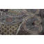 One-of-a-Kind 8'8" X 10'1" Area Rug