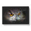 A Great Horned Owl - Wrapped Canvas-56648006
