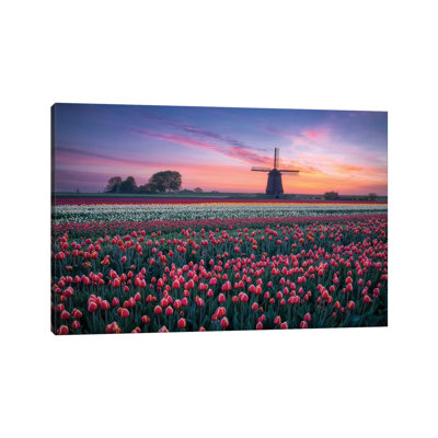 Moulin à vent et tulipes