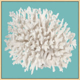 Coral On Aqua 2 Print by Lillian August