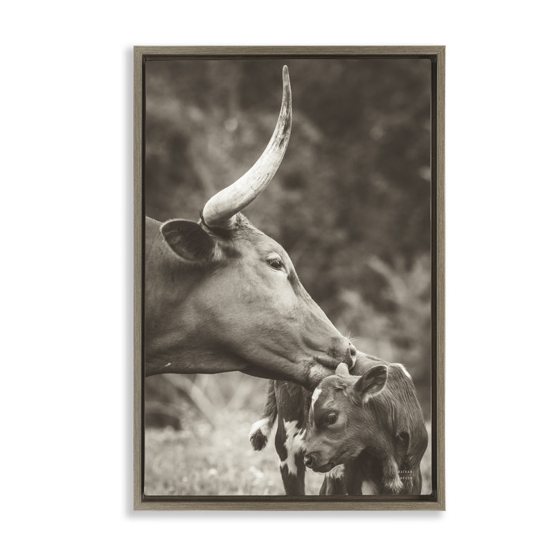  «Longhorn Kissing Baby Floater» par Nathan Larson, H 31 po x l 21 po, Cadre flottant orme Montalcino