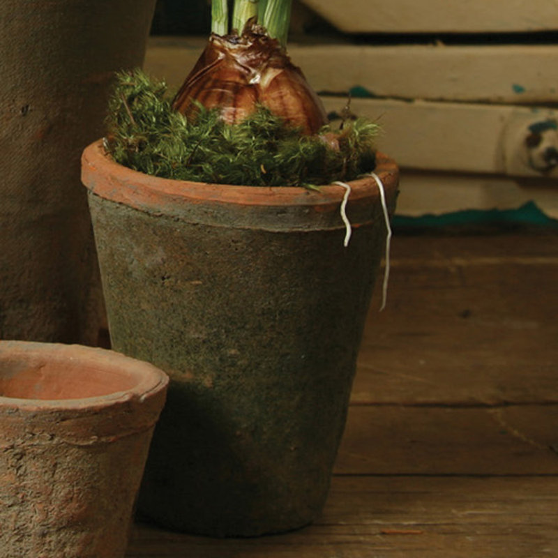 Altadena Pot Planter, 6" H x 5" W x 5" D