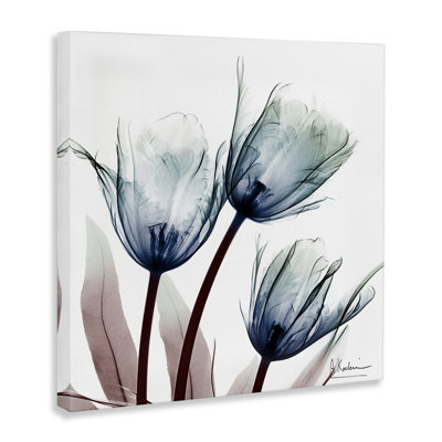 Toile translucide avec ampoules de tulipes, design par Albert Koetsier