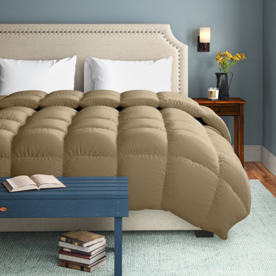 Myerstown Traditional Comforter