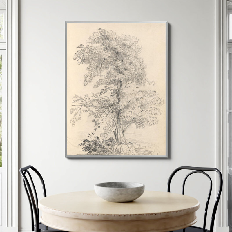 «Tree Sketch» par Wild Apple, Non, H 48 po x l 36 po, Papier avec cadre simple argenté