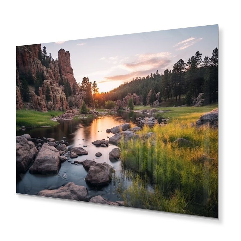 South Dakota Custer State Park Serenity II sur impression métallique, H 12 po x l 20 po