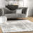 Deedra Modern Abstract Power Loom Performance Gray/White Rug-1671989955
