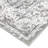 Oriental Indoor Rug-577719522