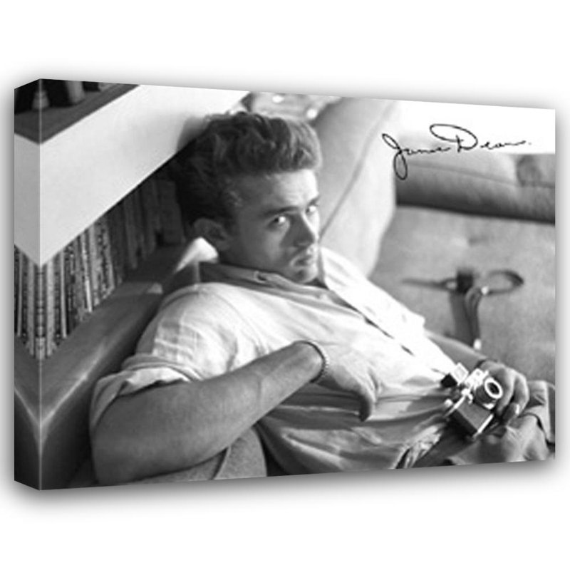 James Dean (appareil photo), H 14 po x l 18 po