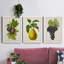 Antique Fruit VI - ensemble de 3 reproductions d'art sur toile-1071139948-1071139947