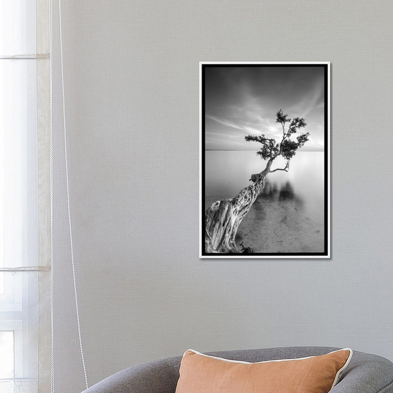 « water tree v » par moises perception-reproduction de photo, H 26 po x l 18 po x P 1,5 po, Toile blanche encadrée