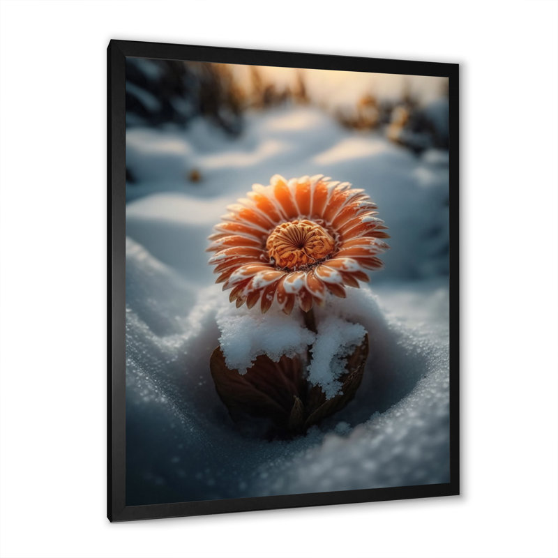 Une fleur de gerbera orange en fleurs II - Impression sur toile, Impression noire sur toile encadrée