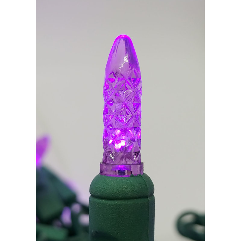 9.5'' LED String Lights, Purple