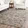 Gorgas Hand Woven Area Rug