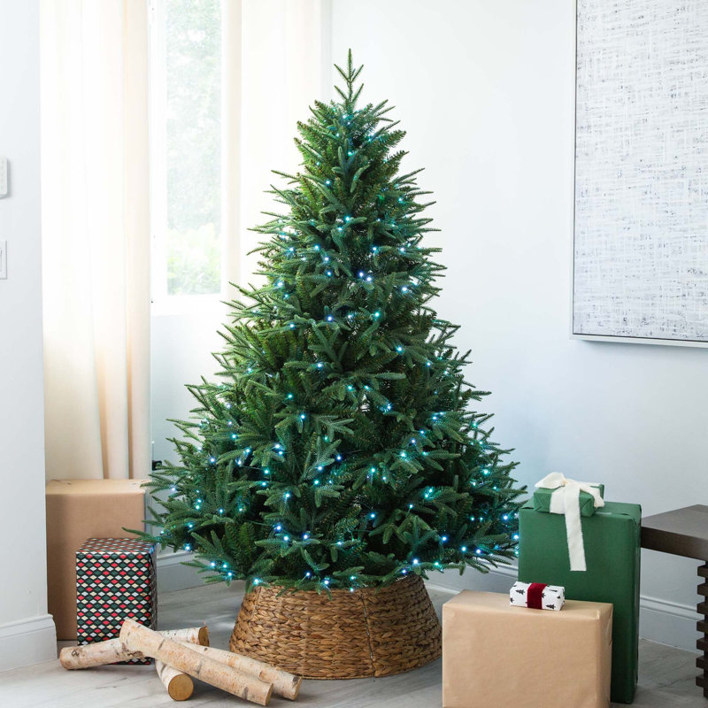 Pre-Lit Artificial Edmonton Fir Light Show Memory Shape Christmas Tree, 6'