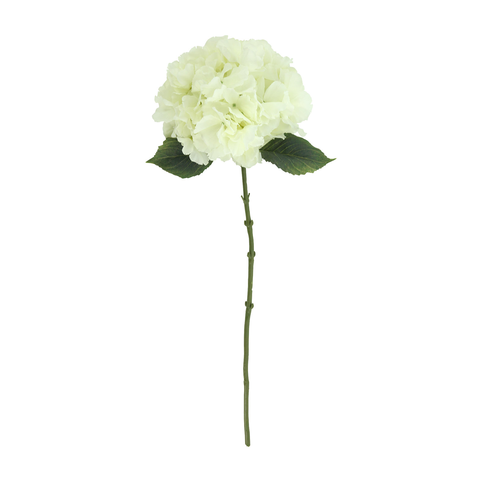 Addison Hydrangea Stems, Cream