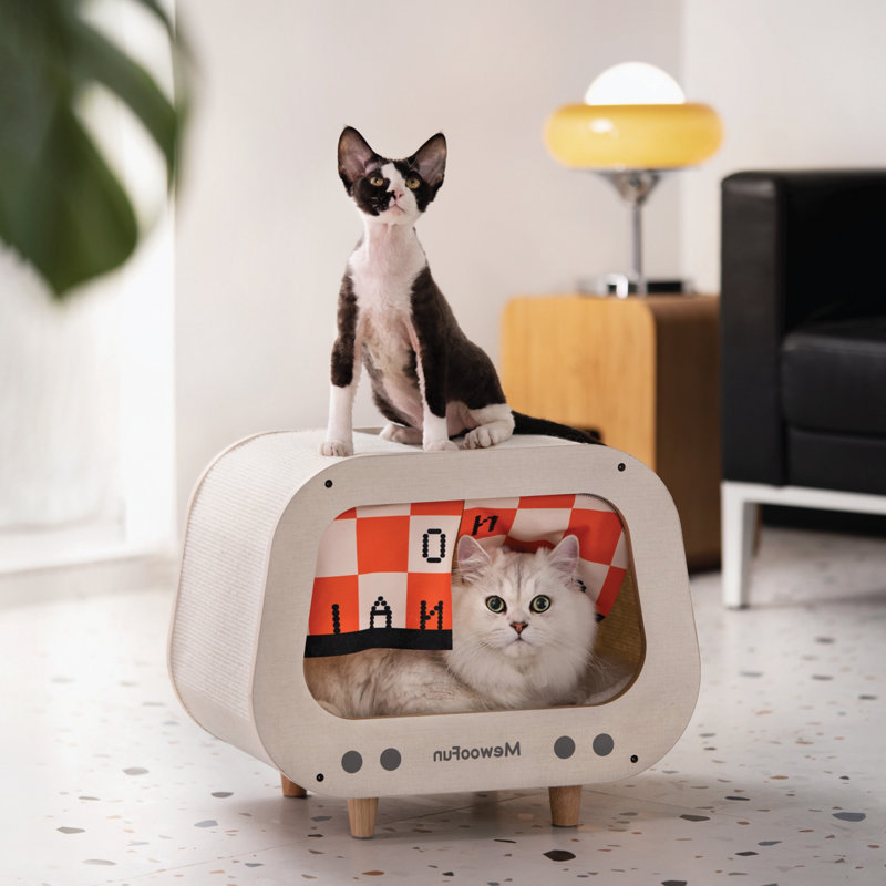 Lit pour chat Cinya, Blanc, Grand (L 11 po x l 18 po)