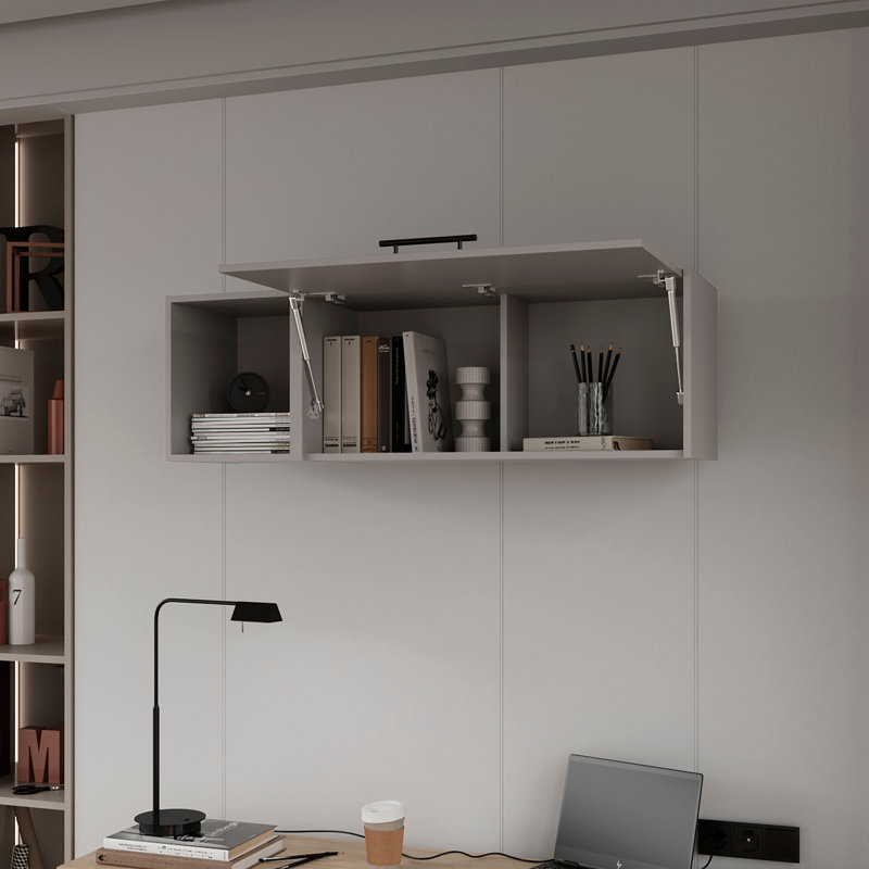 Shirberg Storage Cabinet