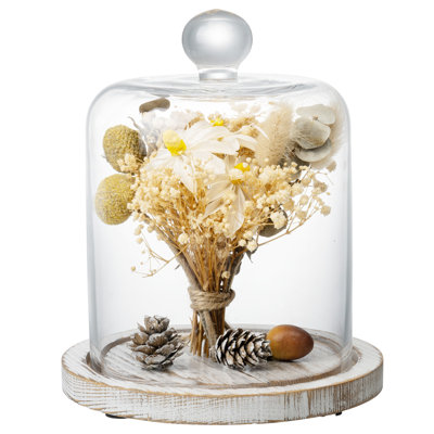Cloche Or Water Globe