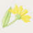 100% Turkish Cotton Daisy Embellished Towel Set-1508833418-1574927584
