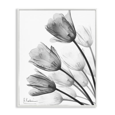 Minimalist Tulip Fan Framed Giclee, design by Albert Koetsier