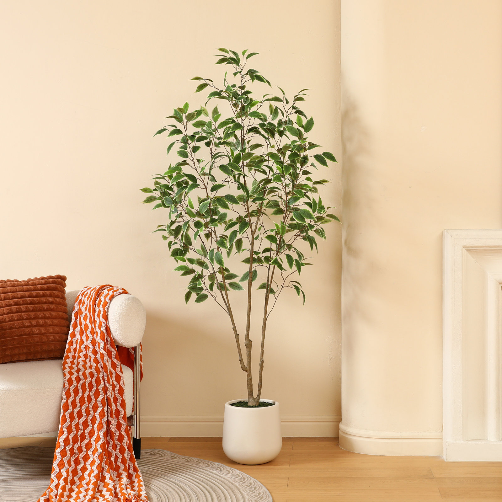 Adcock Ficus Tree in Pot, 72" H x 24" W x 24" D