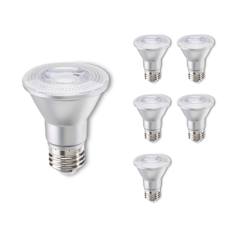 7 watts (équivalent à 50 watts), DEL PAR20, intensité variable, ampoule blanc chaud (2 700 K) E26 / culot moyen (standard)