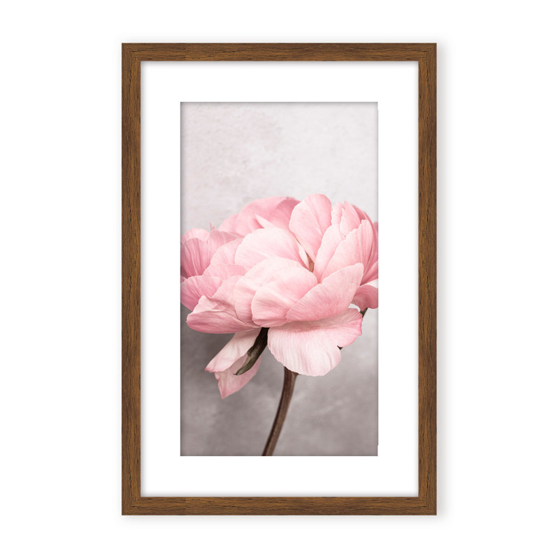 Nature Inspired Peony by  - Picture Frame Photograph on Paper, 24" H x 16" W x 1.125" D, Black, Framed Matted Print