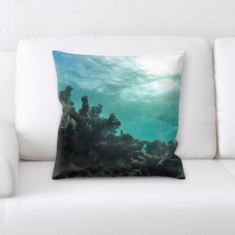 Square Pillow Cover & Insert