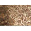 Wool Oriental Area Rug