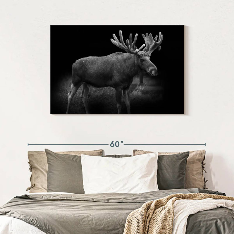 Brampt Monochromatic Bull Moose, 30" H x 45" W