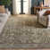 Hazel 504 Performance Oriental Rug