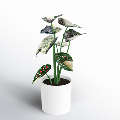 11.5'' Faux Plant in Pot
