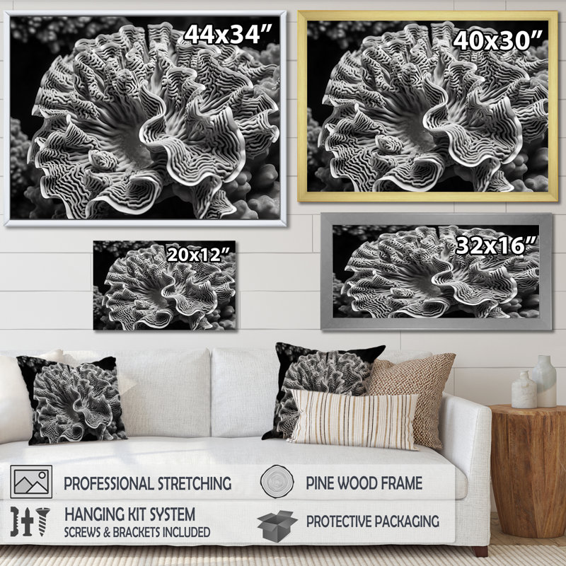 Coral Serenity en noir et blanc I, reproduction d'art sur toile, H 30 po x l 40 po, Cadre flottant blanc