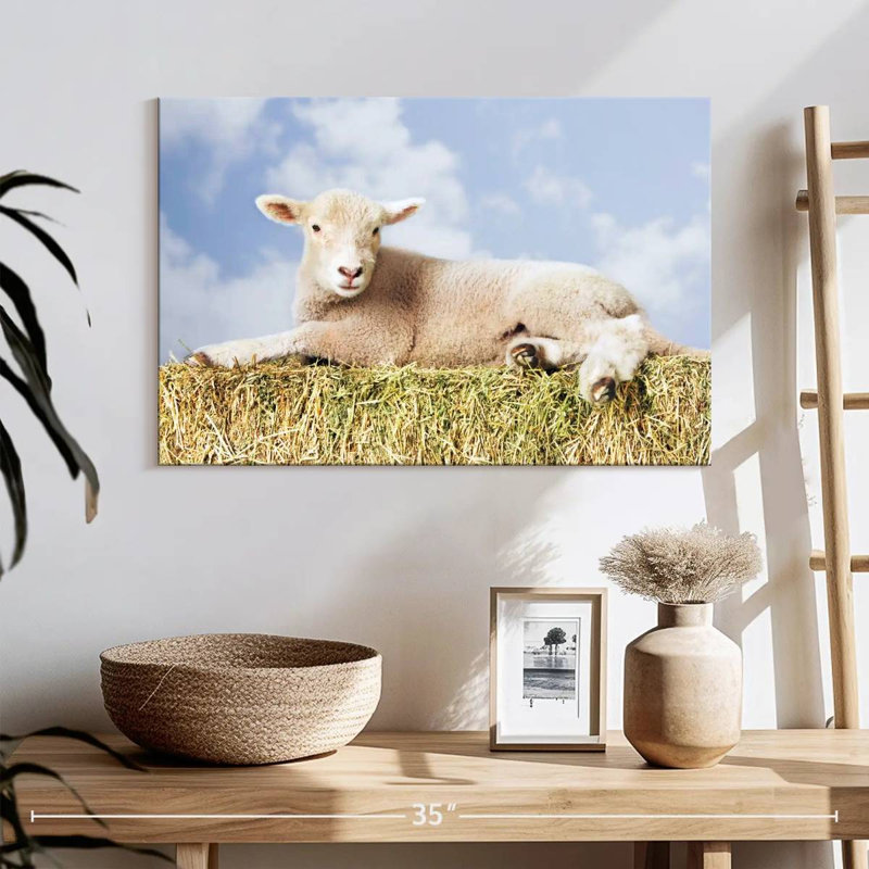 Young Sheep, 16" H x 24" W