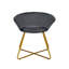 Colmar Velvet Accent Chair with Metal Legs-221319907