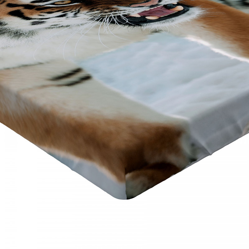 Microfiber Fitted Sheet, Twin XL Fitted Sheet