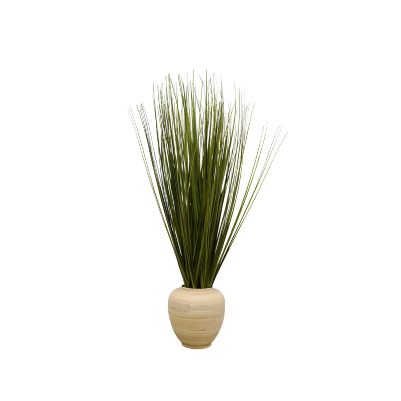 Herbe en bambou 30 po