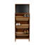 Armoire à chaussures, h 65 po avec rangement caché, s'adapte à divers styles de maison, armoire de grande capacité de construction pour entrée, h 65 po, 3 tiroirs rabattables et noir, pratique