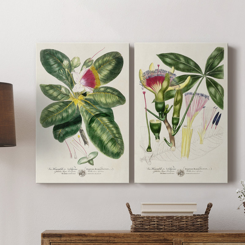 Toile tendue avec châssis Imperial I Botanical Imperial, H 27 po x l 36 po