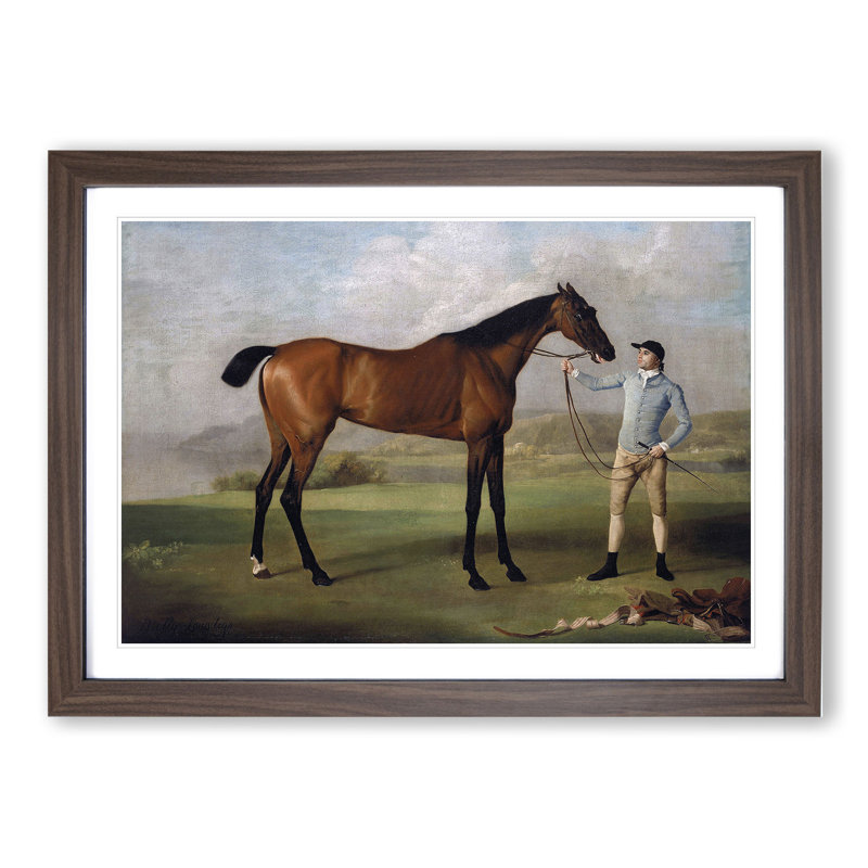 Molly Long Legs by George Stubbs - Picture Frame Painting, 27cm H x 36cm W x 2cm D, Walnut
