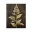 Plaque murale «Weathered Flower Portrait» par Petal Prints Design