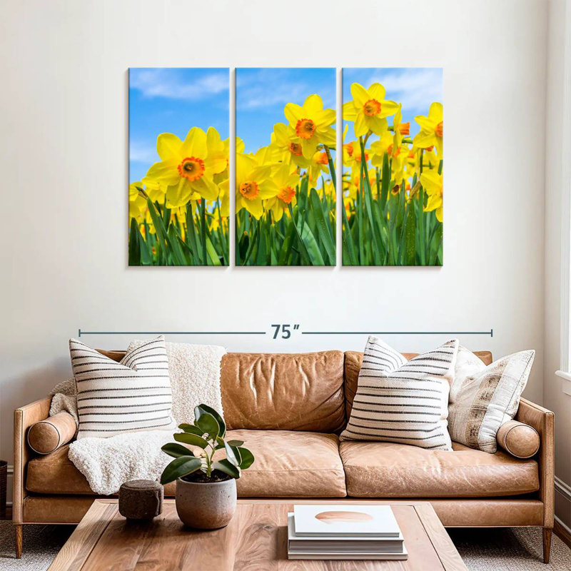 Dutch Master Daffodils, H 36 po x l 57 po