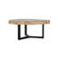 Celine Solid Wood Coffee Table