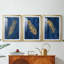 Golden Feather I - reproduction sur mesure encadrée de qualité supérieure mate - 3 pièces-1795947247-1795947240